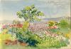 "My Garden." 1920. Work by Major Tom Barnard durin