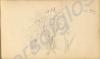 Sketch of some trees. 1921. Work by Major Tom Barn