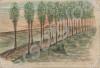 "An attempt of an Avenue between Ploegsteert and
