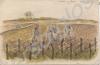 "Women working in the fields between Bus-les-Arto