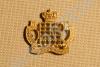 Royal Gloucestershire Hussars collar dog.