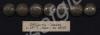Officer's coatee buttons. 61st South North Glouces