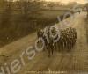 Lieutenant Roger Douglas Scott leading a section